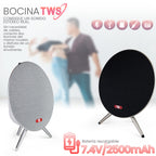 Bocina Portátil FS-R319