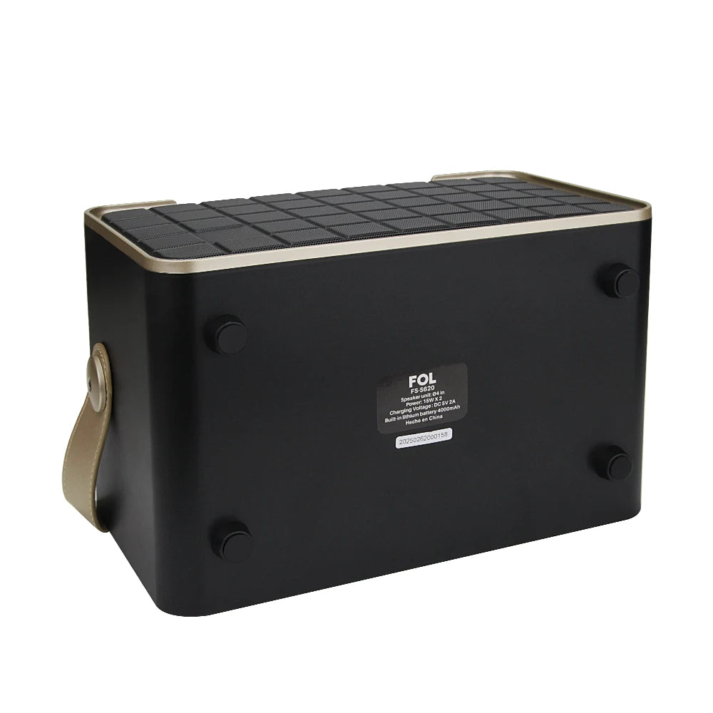 FS-S620 Bocina TWS Tipo Amplificador de 30W con Entrada Jack 6.3 mm