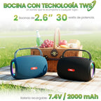 Mini Bocina FS-S269