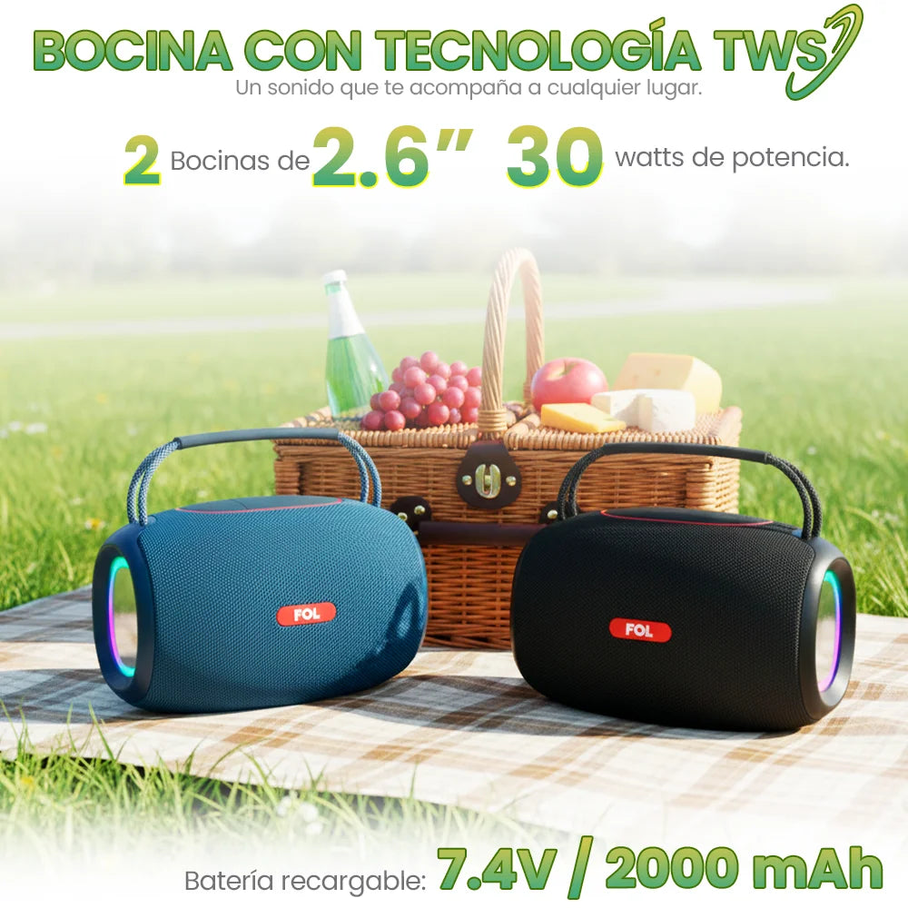 Mini Bocina FS-S269